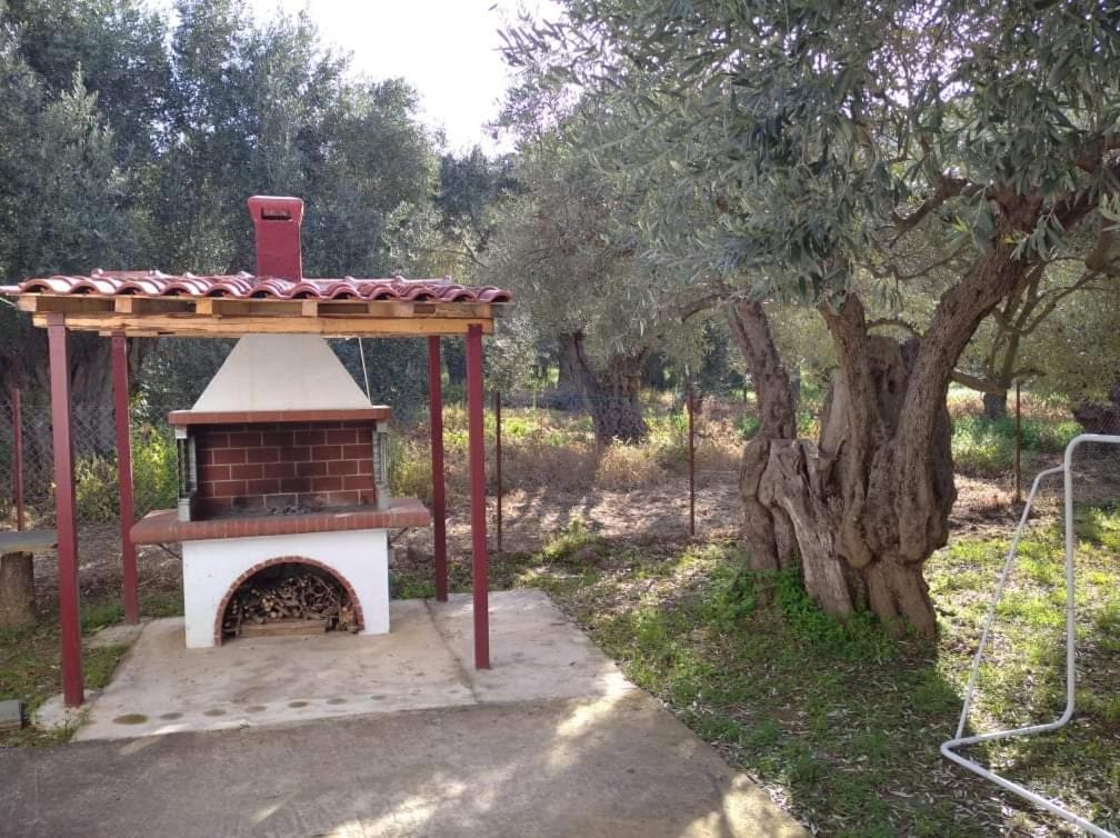 The Small House In The Olive Grove Lefokastro Exteriér fotografie