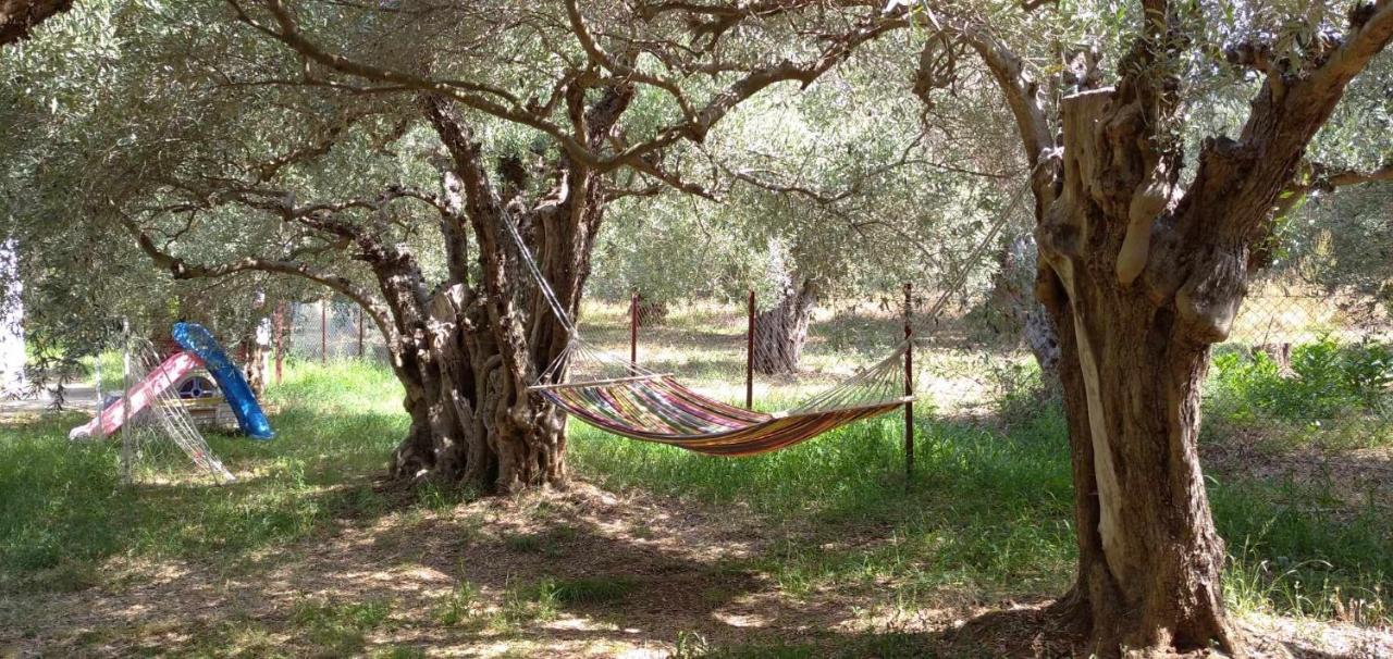 The Small House In The Olive Grove Lefokastro Exteriér fotografie
