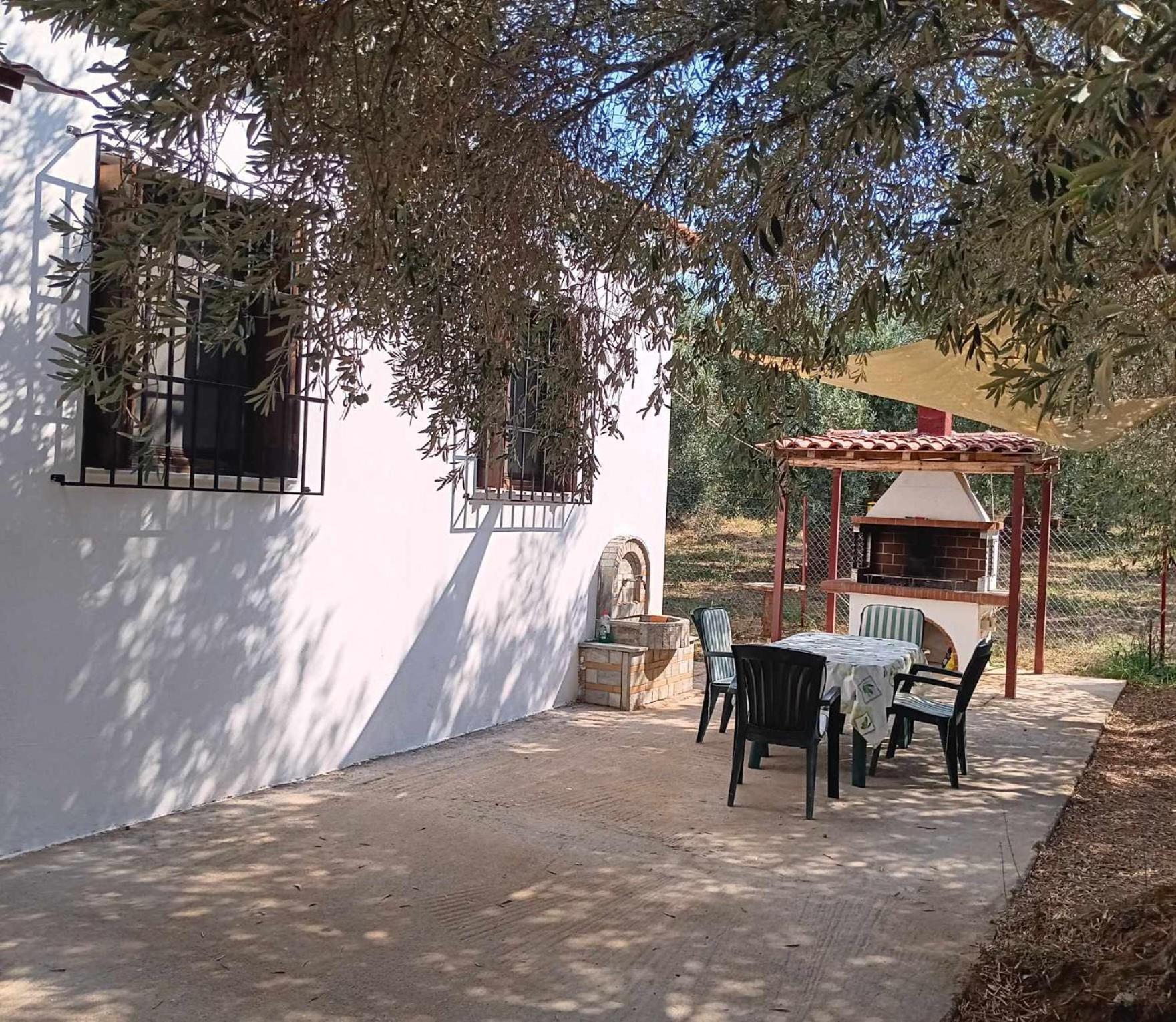 The Small House In The Olive Grove Lefokastro Exteriér fotografie