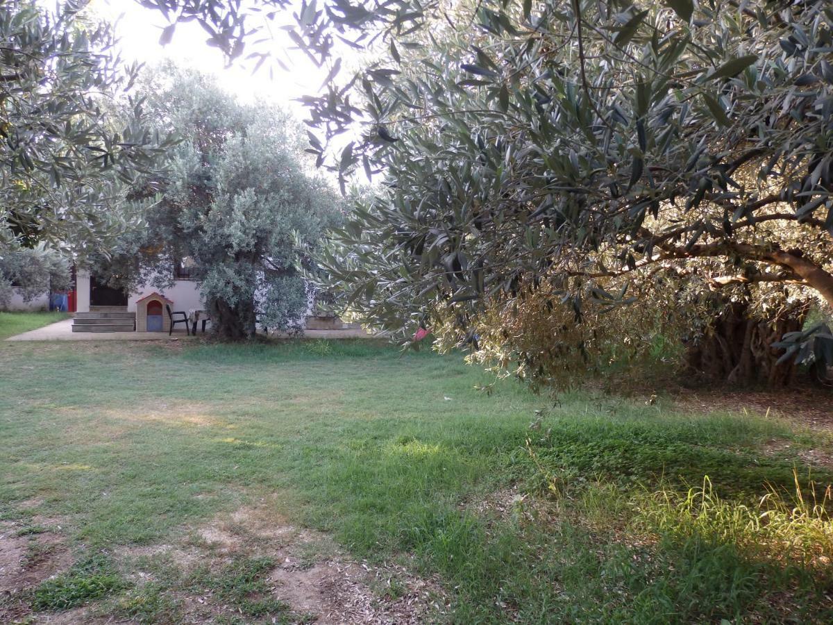 The Small House In The Olive Grove Lefokastro Exteriér fotografie
