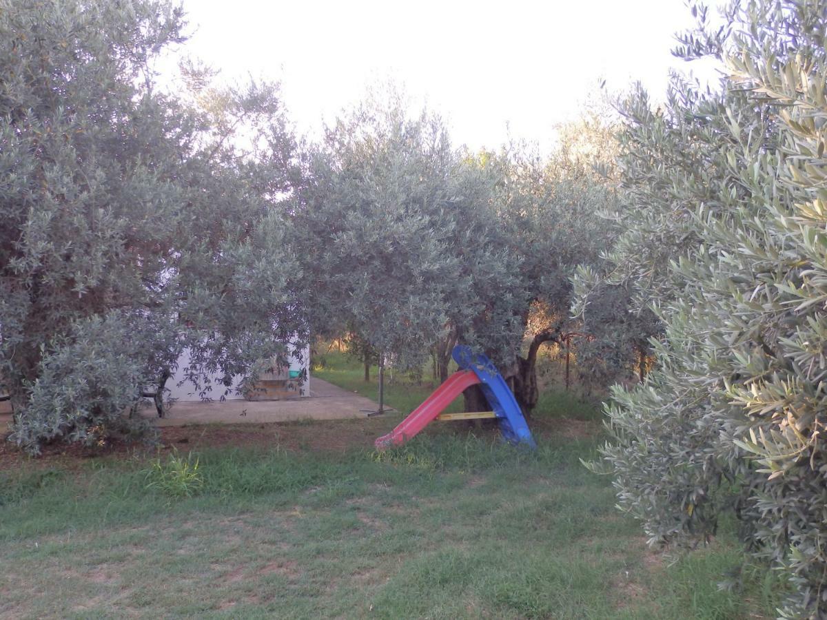 The Small House In The Olive Grove Lefokastro Exteriér fotografie