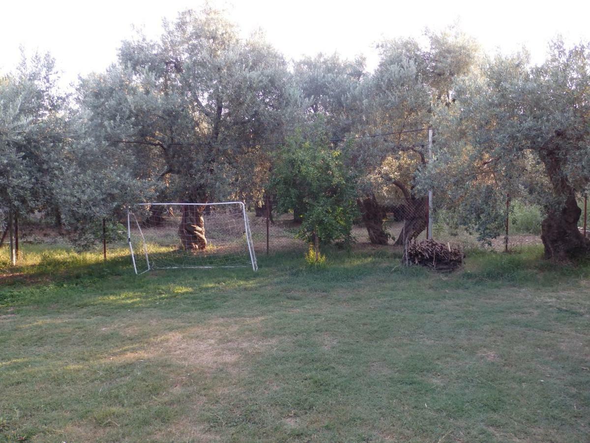 The Small House In The Olive Grove Lefokastro Exteriér fotografie