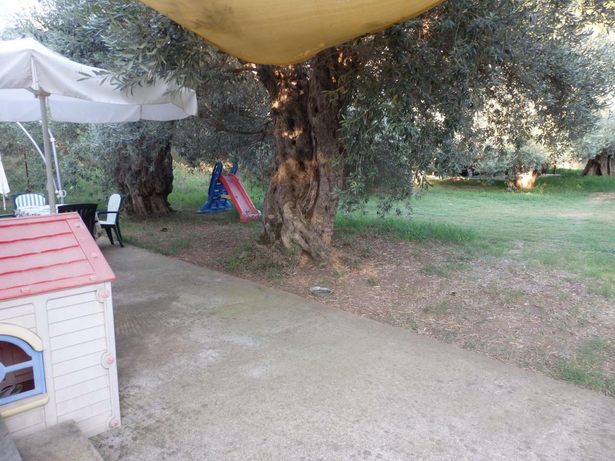 The Small House In The Olive Grove Lefokastro Exteriér fotografie