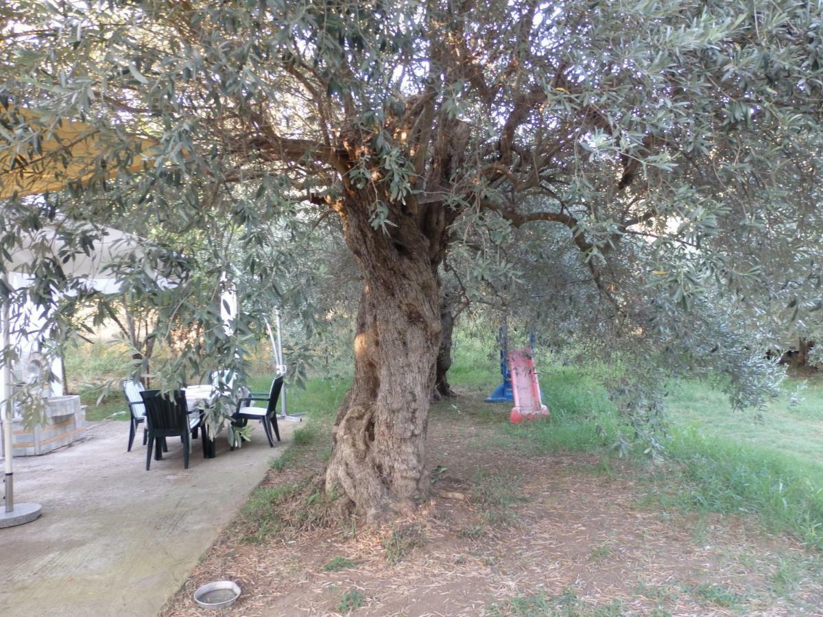 The Small House In The Olive Grove Lefokastro Exteriér fotografie