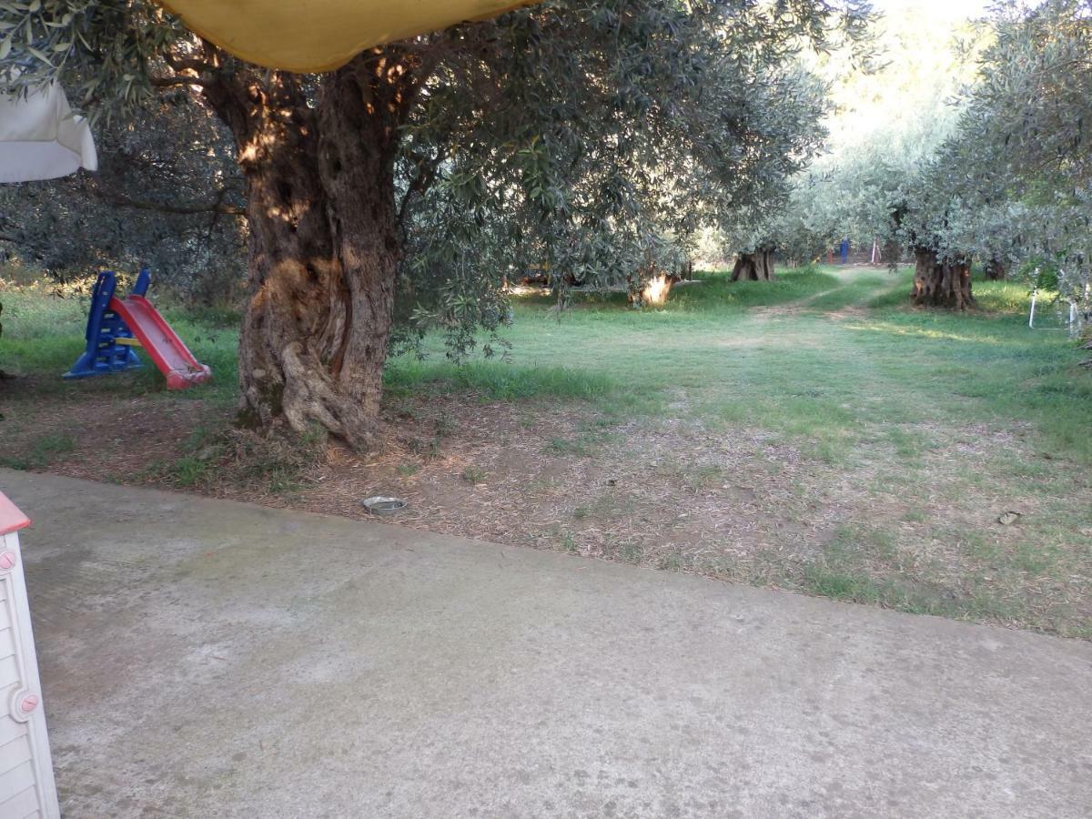 The Small House In The Olive Grove Lefokastro Exteriér fotografie